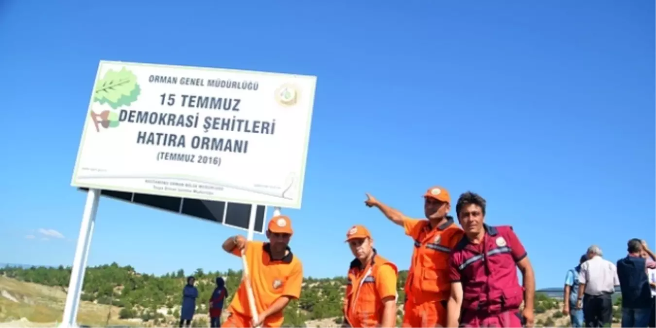 Mardin\'de "15 Temmuz Demokrasi Şehitleri Hatıra Ormanı" Oluşturuldu