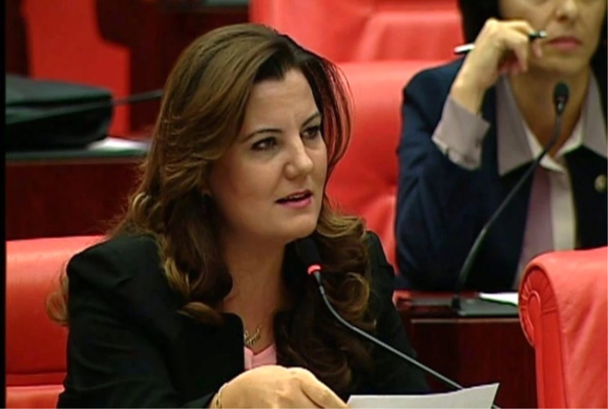 Milletvekili Hürriyet, Kocaelispor\'u Meclise Taşıdı