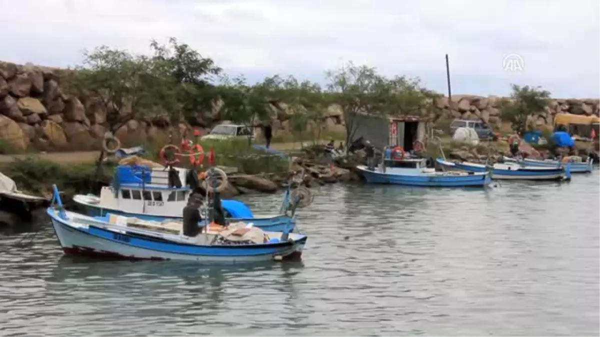 Palamut Avcılığı Azalacak"