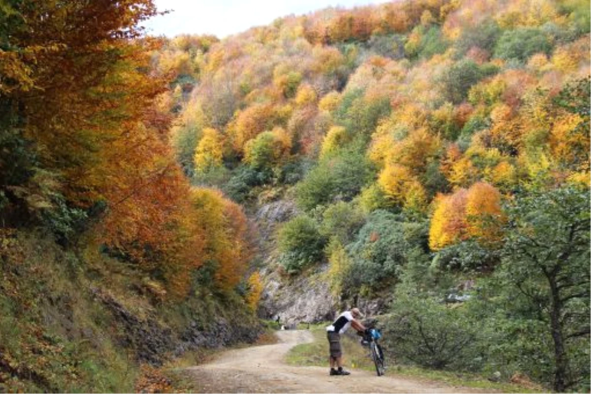 Sonbaharın Güzelliği