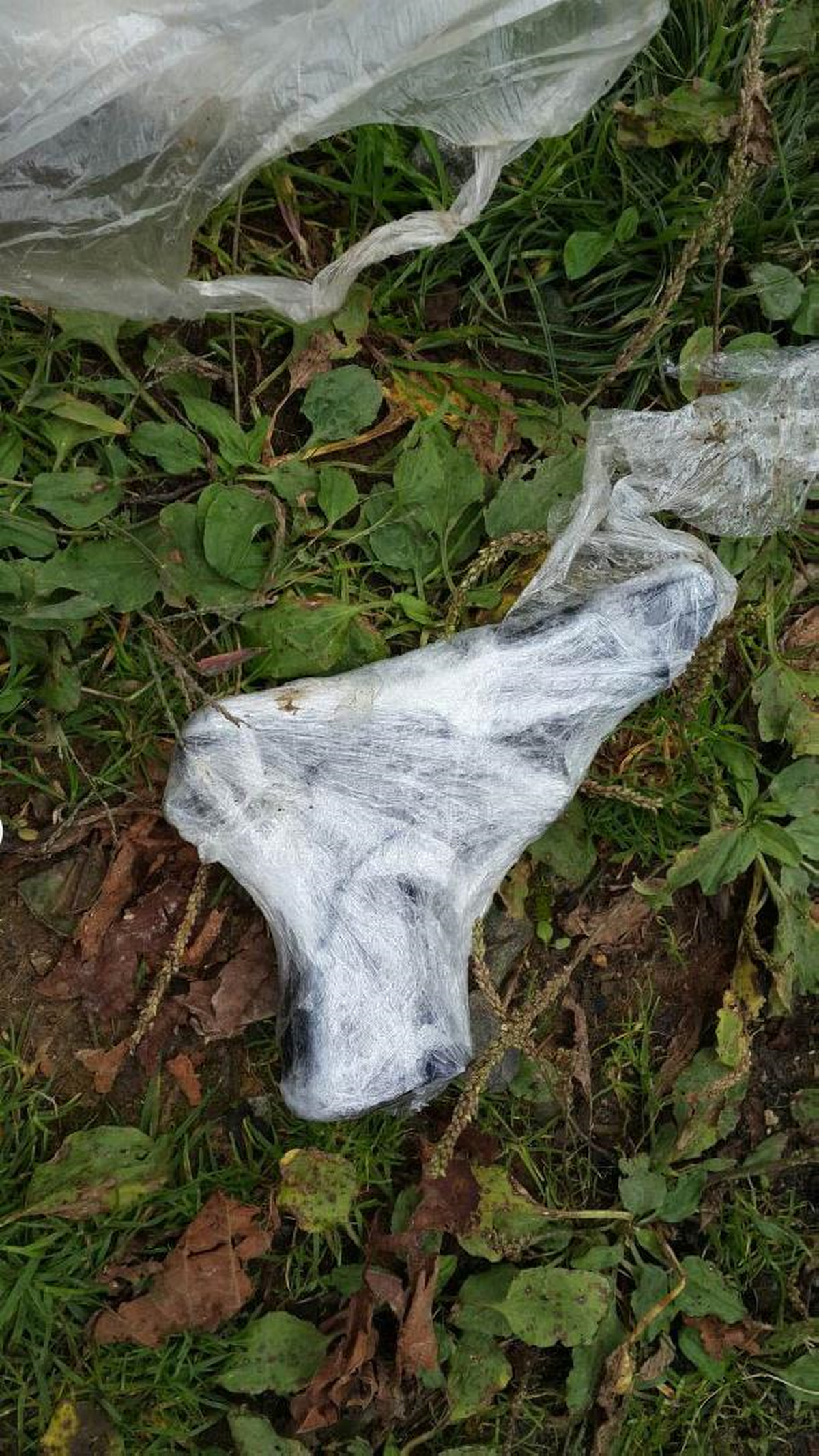 Ardeşen\'de Kaçak Silah Atölyesine Baskın