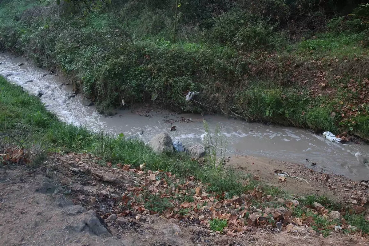 Çayırova İplikçi Deresi\'ndeki Kirlilik