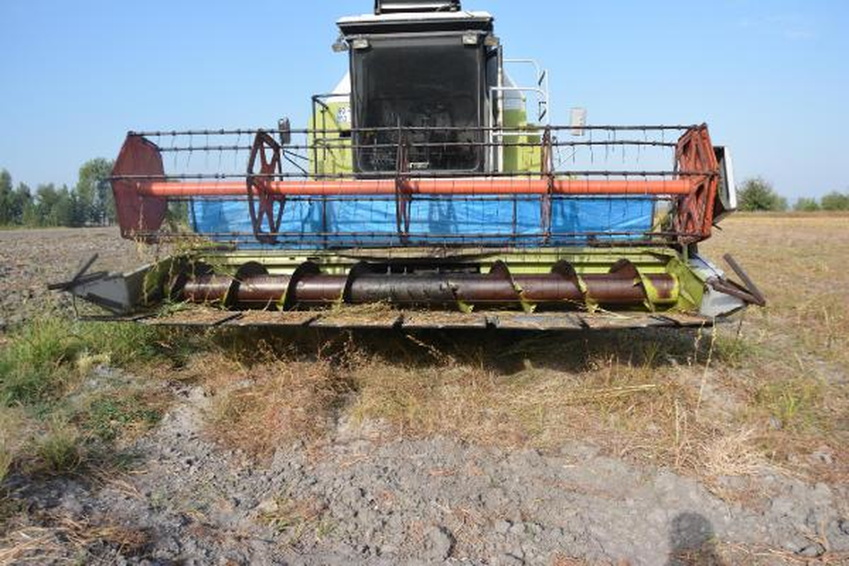 Mucit Girişimci, Geliştirdiği Biçerdöverle Susam Hasadı Yaptı