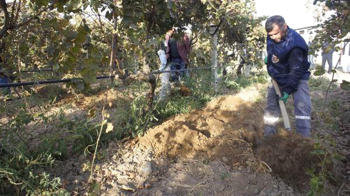 Kayıp Irmak İçin Arama Çalışmalarına Tekrar Başlandı (2)