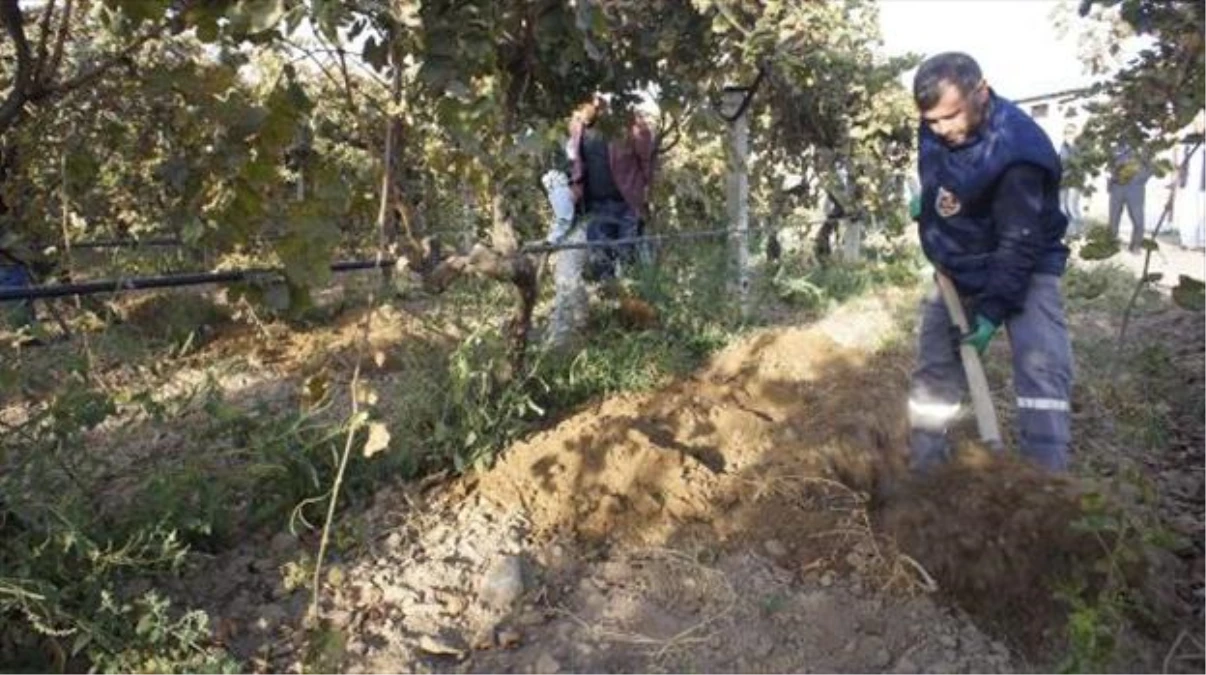 Kayıp Irmak İçin Arama Çalışmalarına Tekrar Başlandı (3)