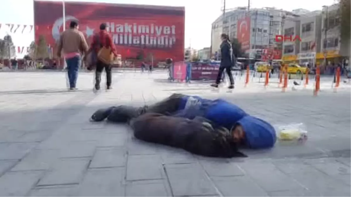 Taksim Meydanı\'nda Ilgi Çeken Görüntü; En Yakın Dostları Köpekler