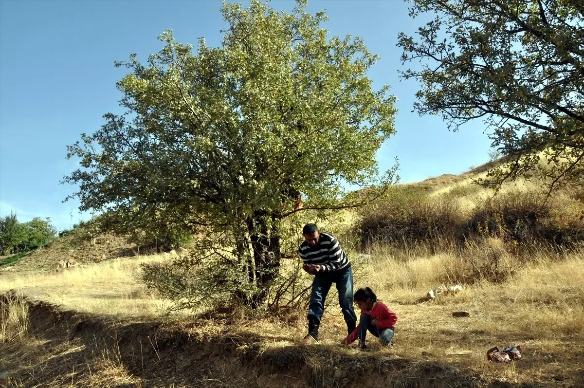 Alıç" Tezgahlardaki Yerini Aldı