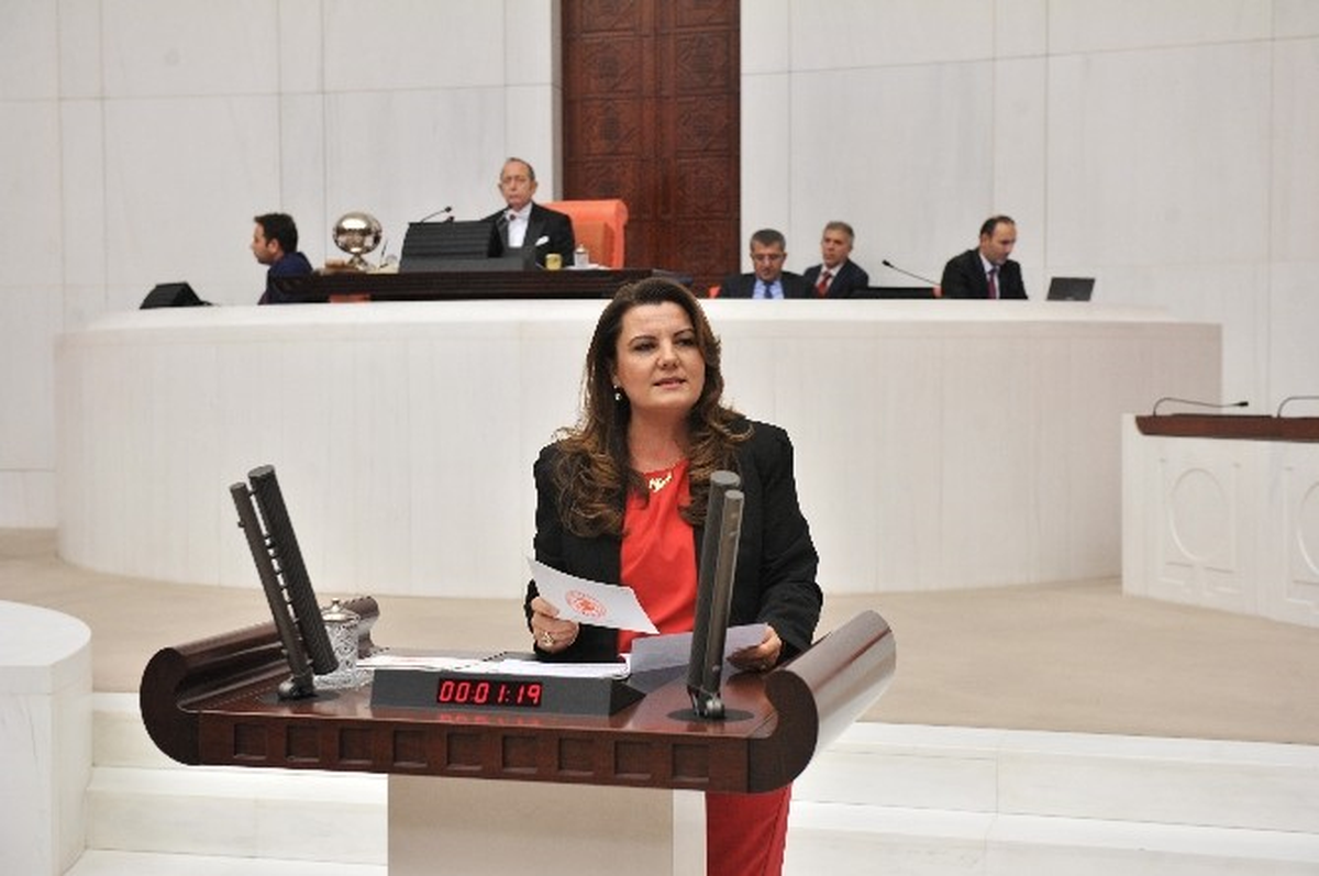 CHP Milletvekili Hürriyet: "Bebek ve Tecavüz Kelimelerinin Aynı Cümlede Geçmesine Dur Demeliyiz"