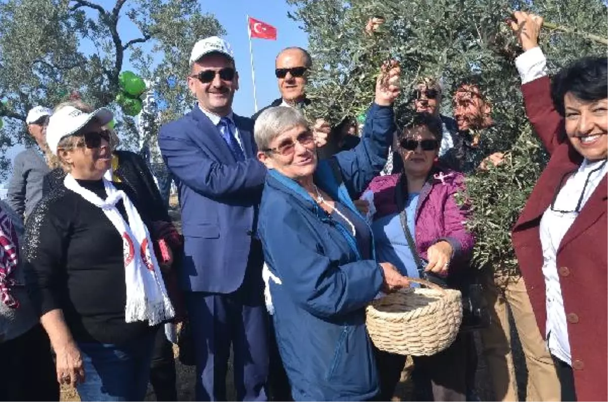 Prof. Dr. Karatay: Zeytin ve Zeytinyağı Doğanın Bize Sunduğu Ana Sütüdür