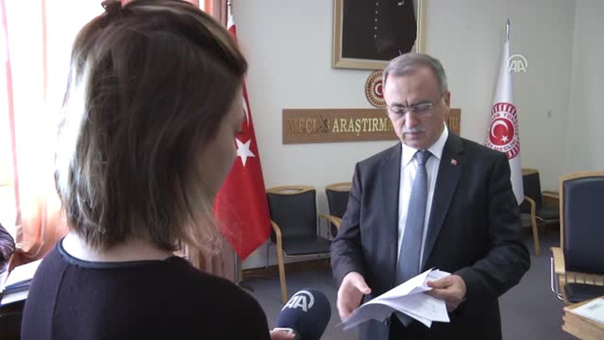 TBMM Fetö Darbe Girişimi Araştırma Komisyonu Başkanı Petek