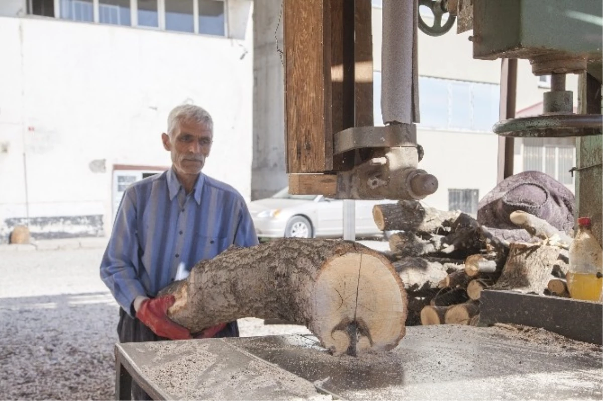 Ahlat\'ta Odun Satışında Düşüş Yaşanıyor