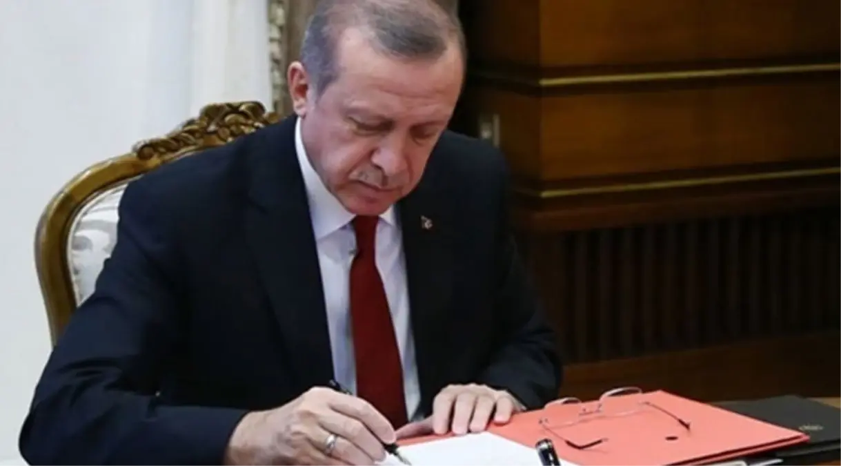 Erdoğan\'dan Milli Sporcuya Tebrik Telgrafı