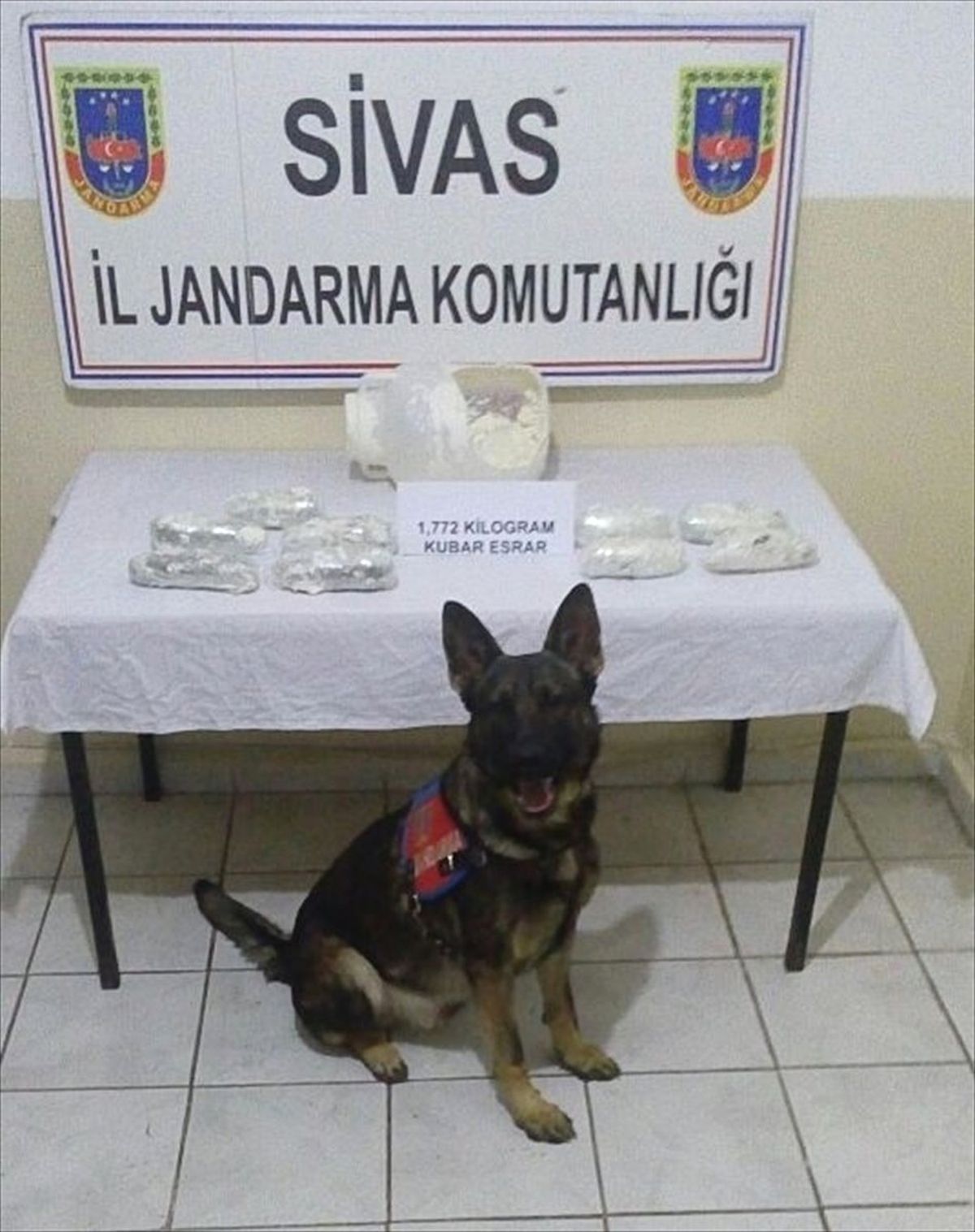 Sivas\'ta Uyuşturucu Operasyonu