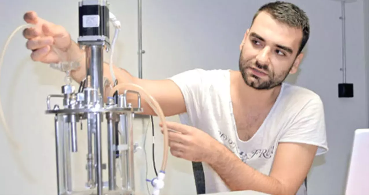 Sebze Atıklarından Elektrik, Buğday Saplarından Isı Yalıtım Malzemesi Ürettiler