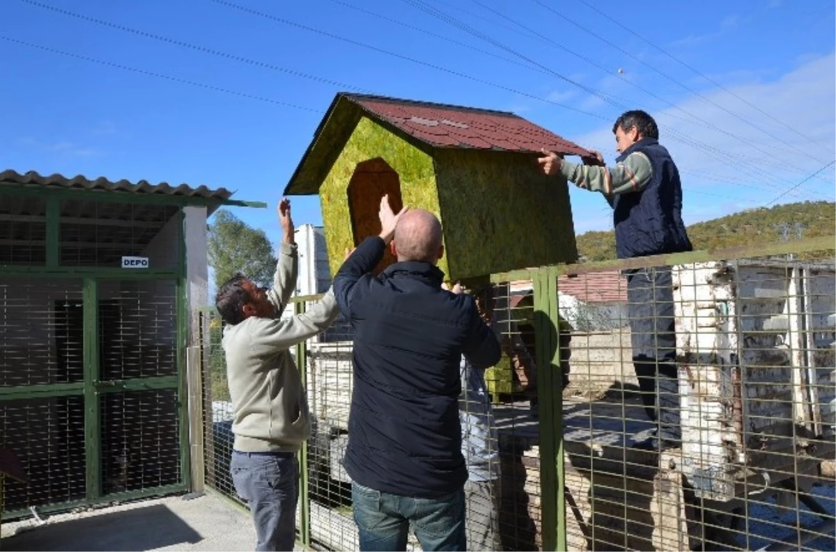 Bozüyük Belediyesi Geçici Hayvan Bakımevi\'ne Yeni Köpek Kulübeleri