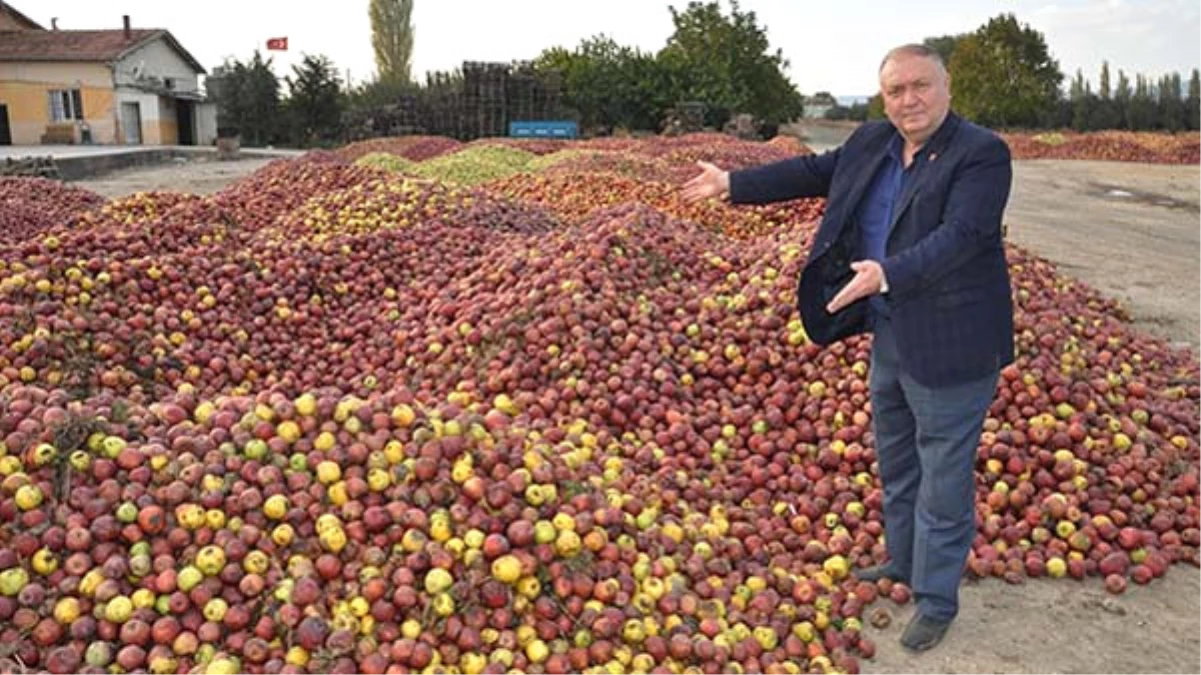 Çivril\'de Ürünü Para Etmeyen Elma Üreticileri Ağaçları Kesti