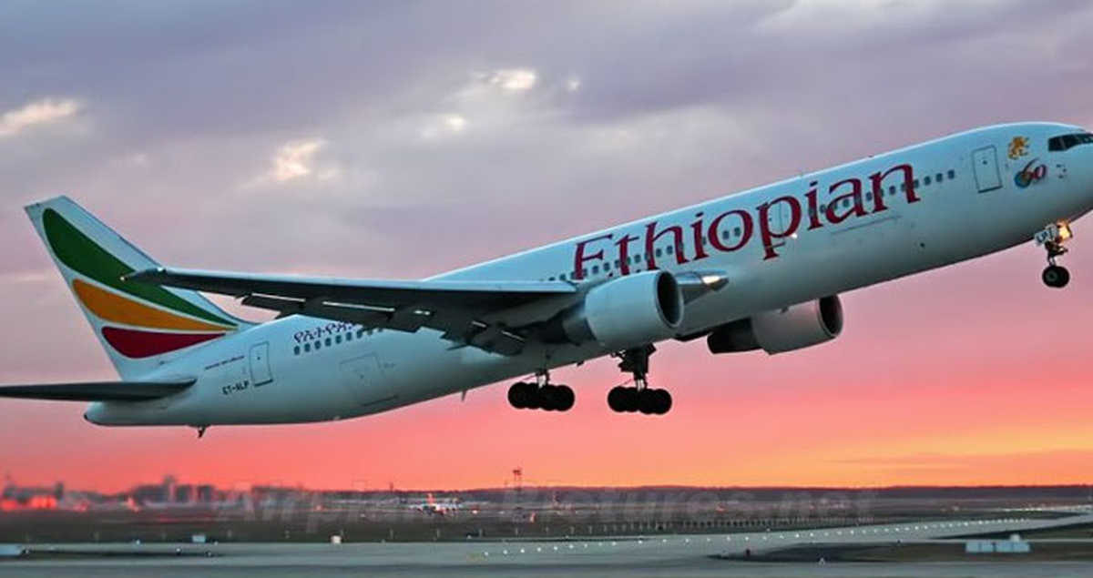 Etiyopya\'da Vahşi Hayvanlar Piste Girince Uçak Kalkamadı