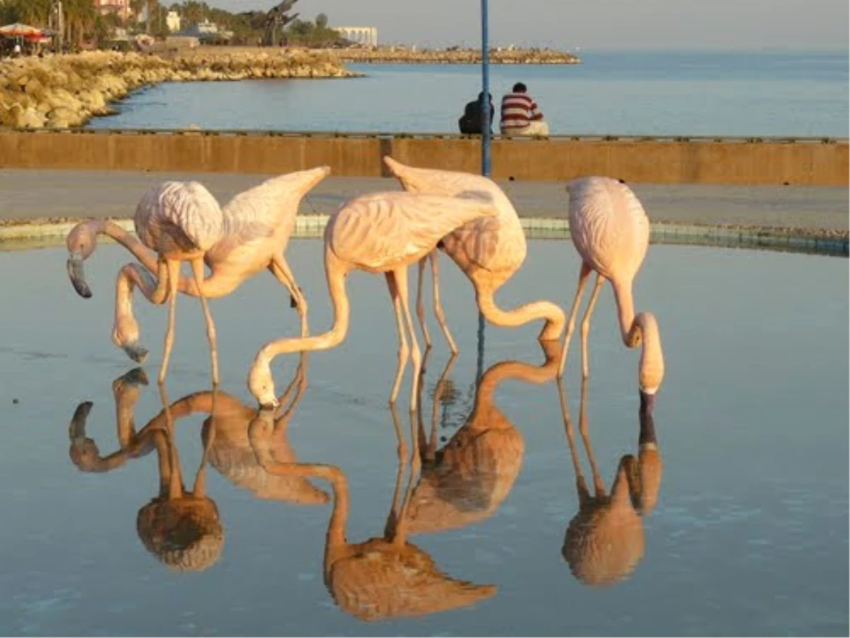 Flamingolardan Gün Batımında Görsel Ziyafet