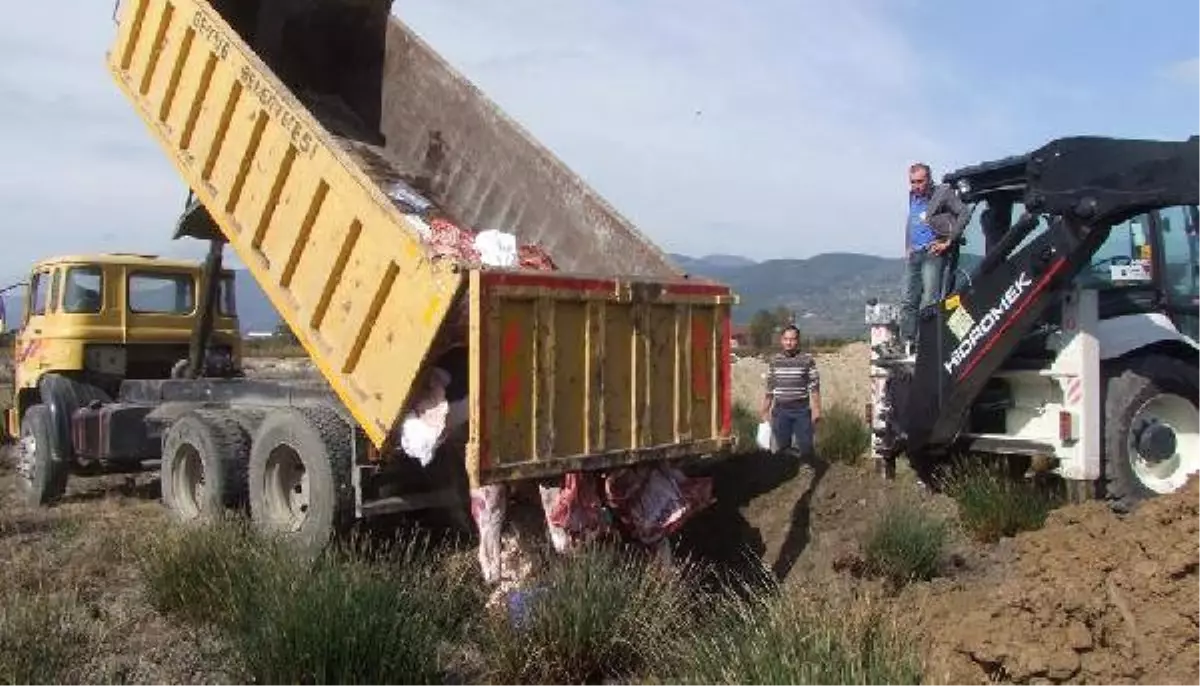 400 Kilo Bozuk Et İmha Edildi