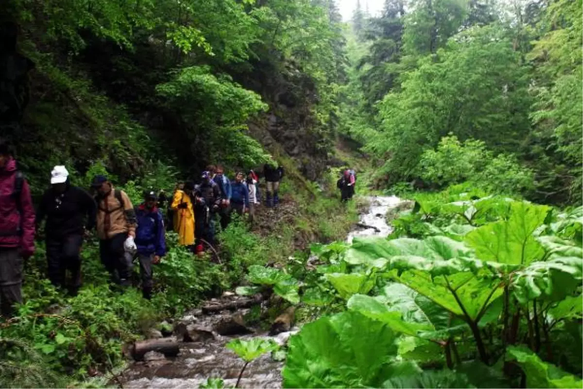 Bolu\'da Doğa Yürüyüş Parkurları 2 Bin Kilometreye Çıkarıldı