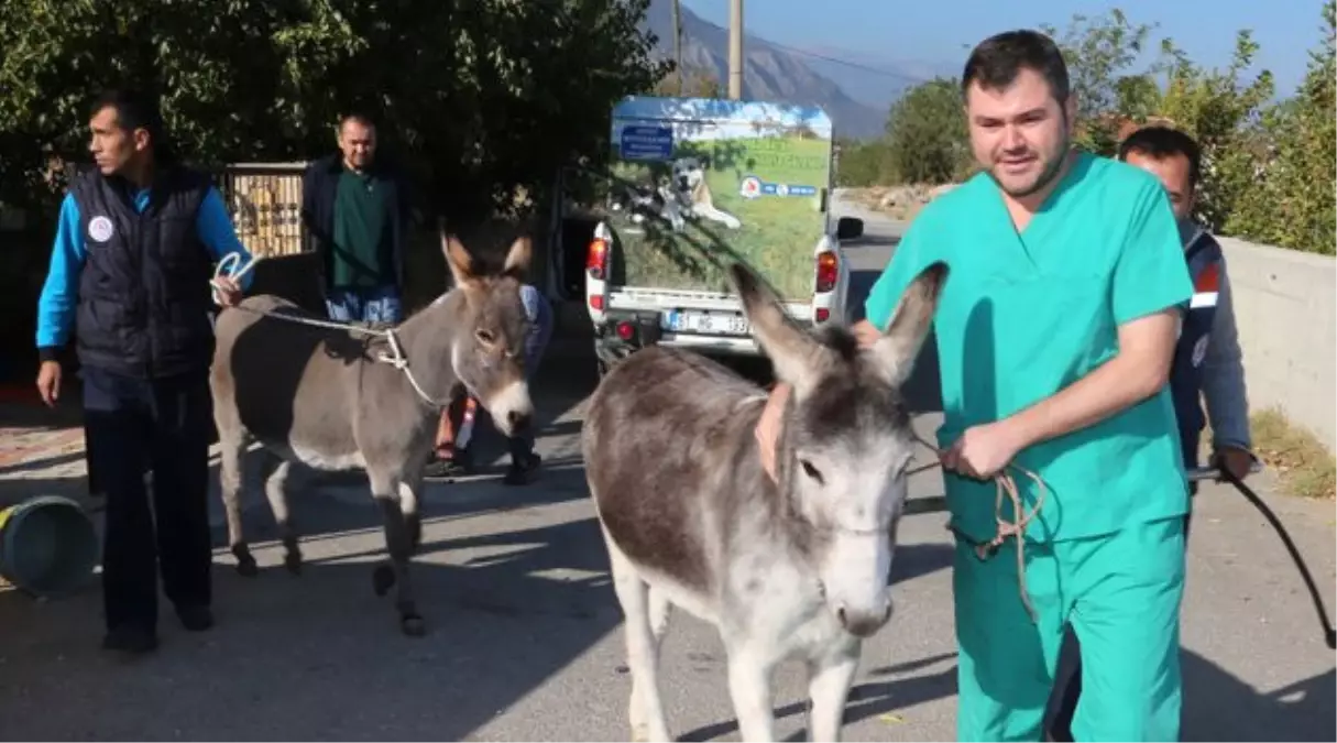 Büyükşehirden "Karakaçan" Operasyonu