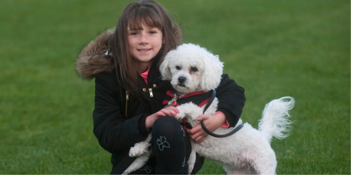 Epilepsi Nöbeti Geçiren Kızı Köpeği Elmo Kurtarıyor