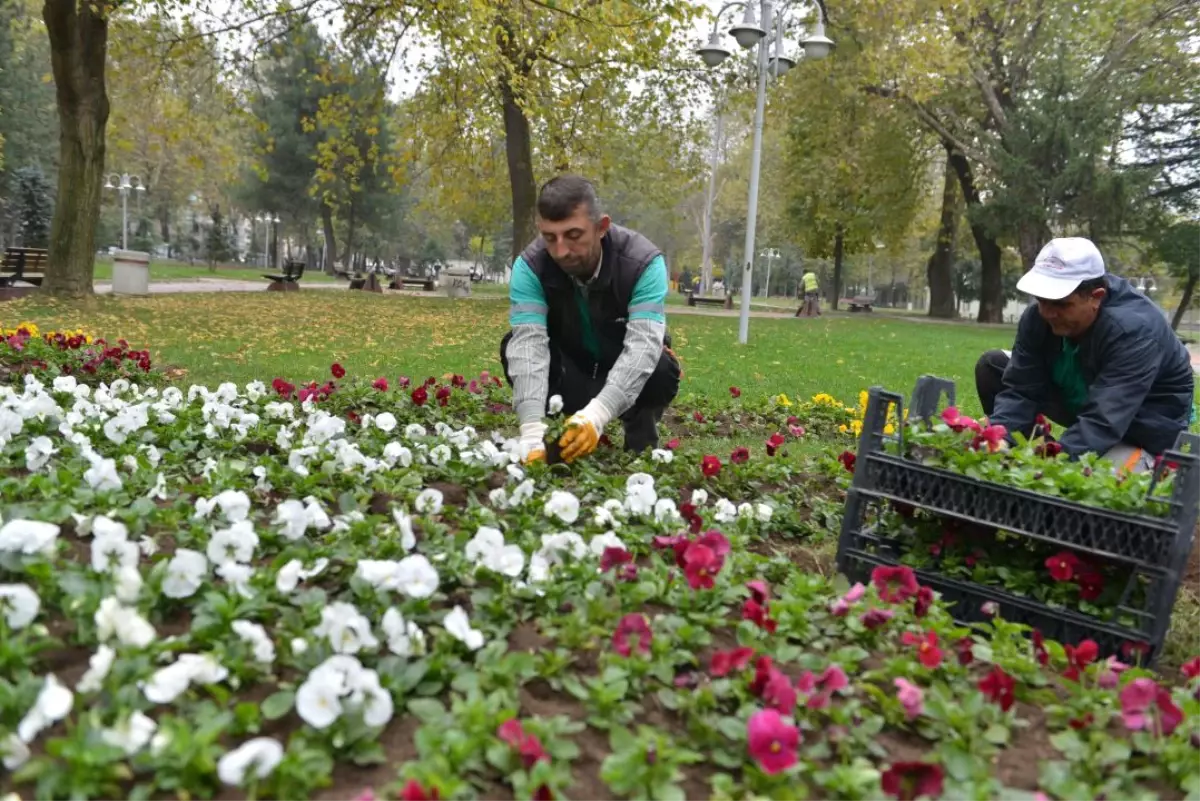 İnegöl\'de Park ve Caddeler Çiçekleniyor