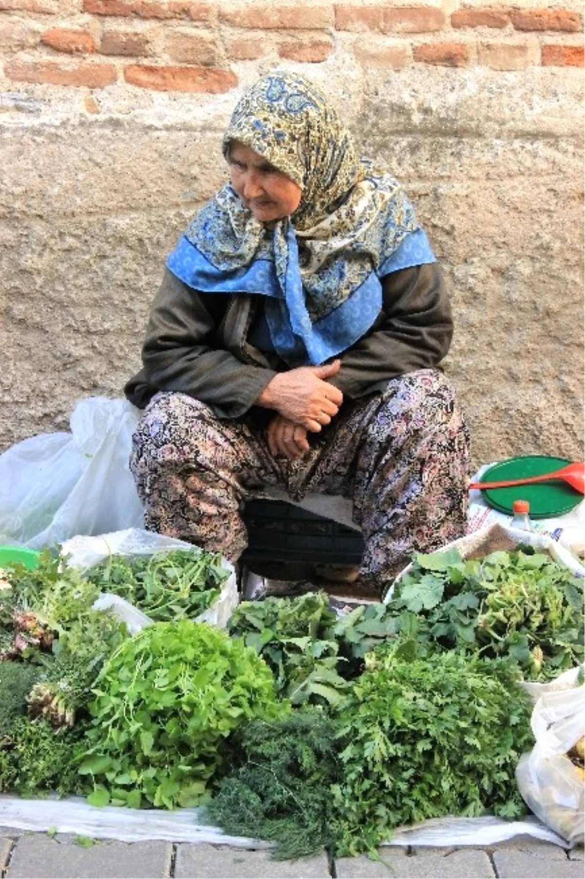 Kazdağlarıı\'nın Yabani Otları Şifa Kaynağı