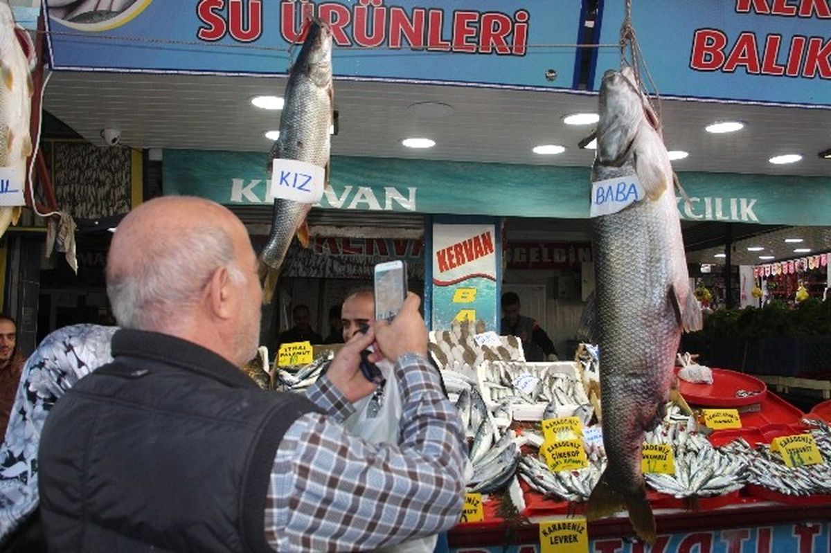 Keban Barajı\'ndan Çıkan "Dev" Balıklar, Balıkçıların Yüzünü Güldürüyor