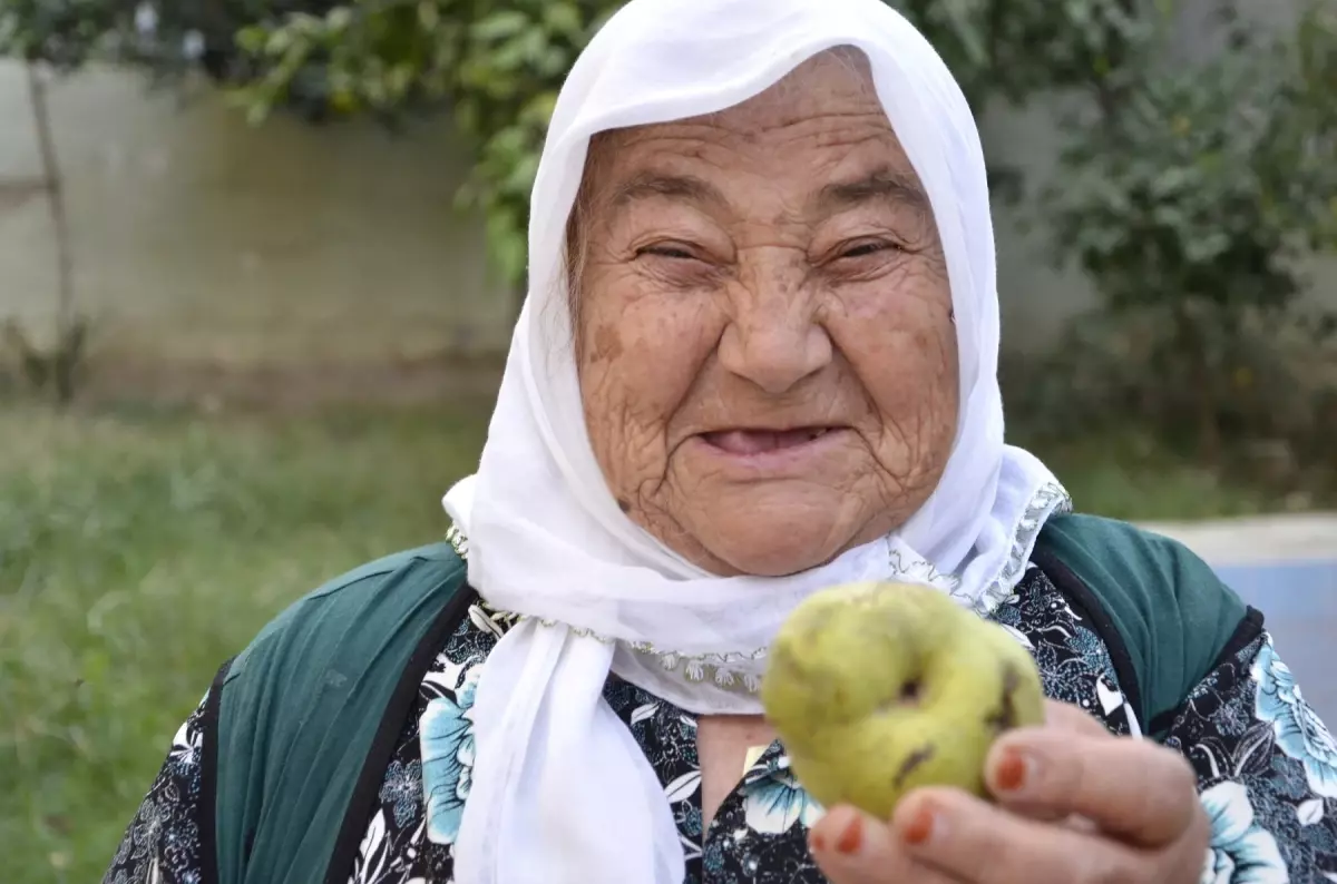 15 torun sahibi Teyze, Gözüne Armut Düştü diye Kör Oluyordu!