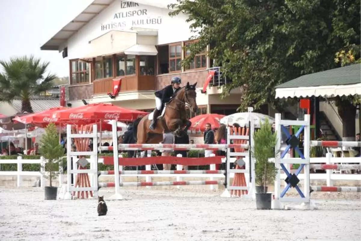 Acp Sigorta\'dan \'At Sigortası\'