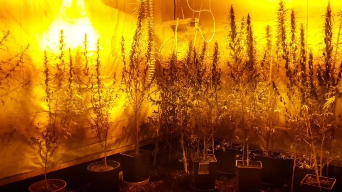 Antalya\'da Uyuşturucu Operasyonu