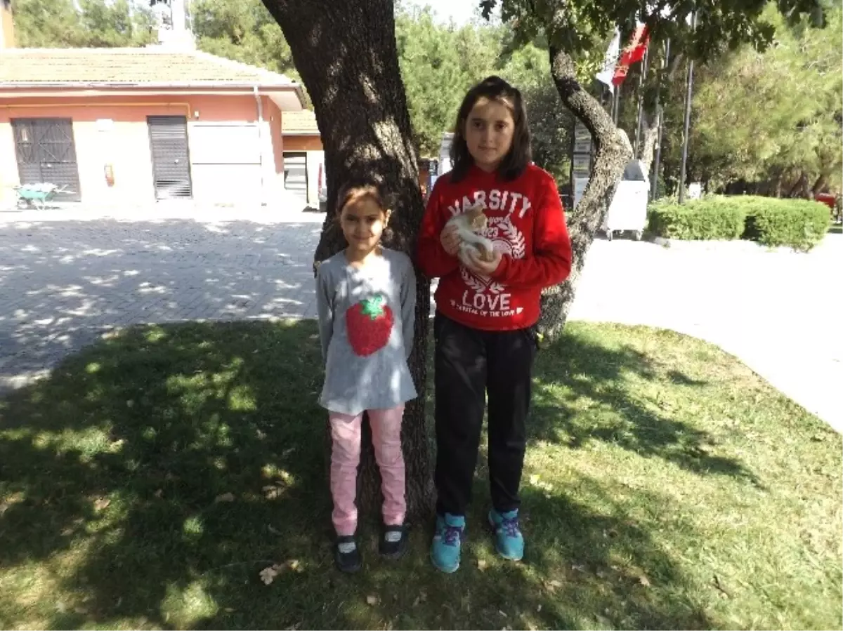 Çocuklardan Örnek Davranış