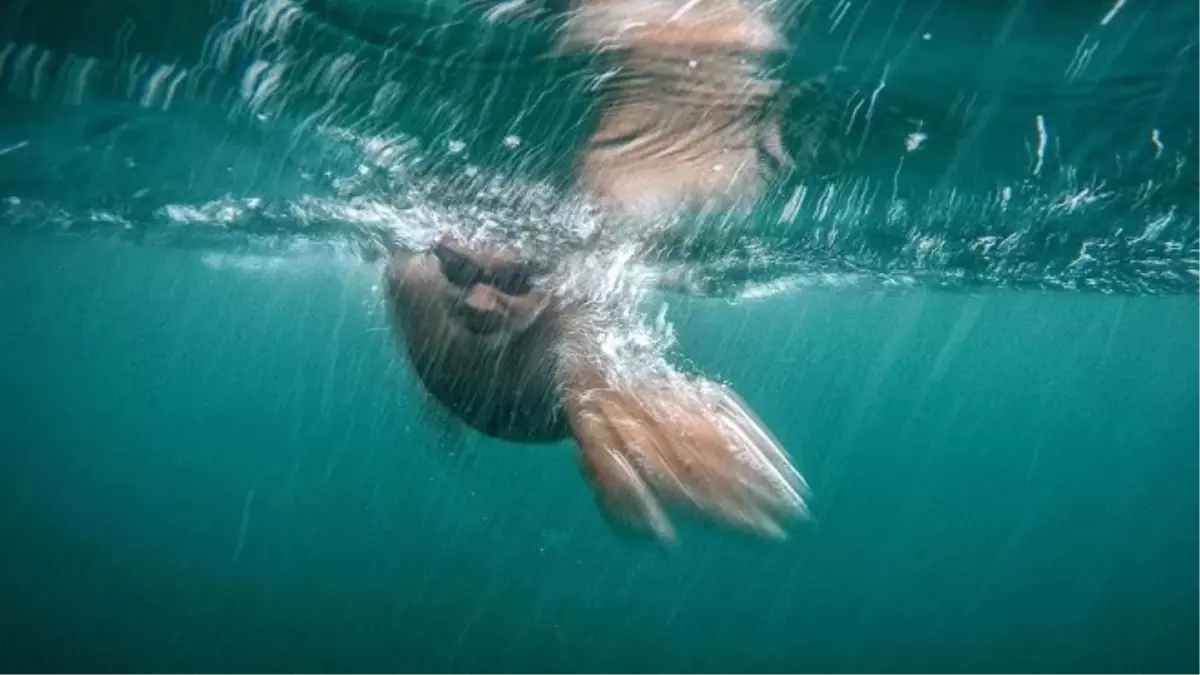 Dünya Rekoru Denedi, Okyanusta Kayboldu