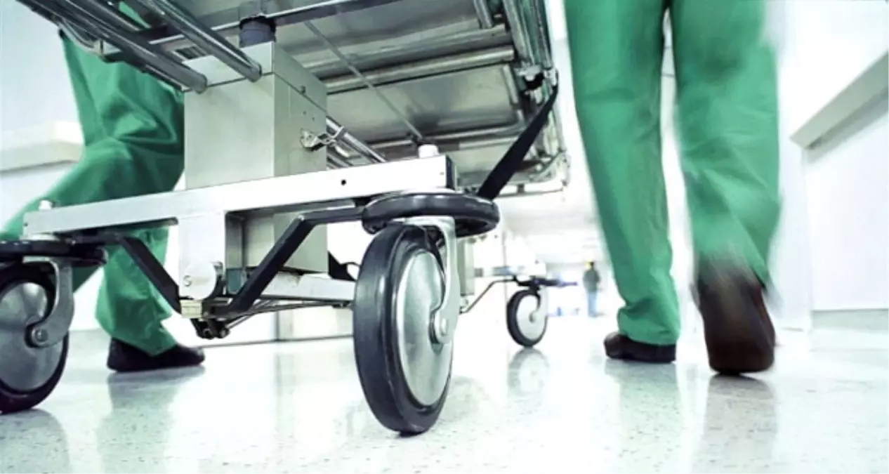 Elma Ağacından Düşen Kadın Öldü