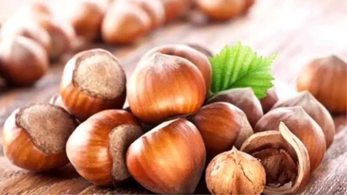 Serbest Piyasada Altın Fiyatları