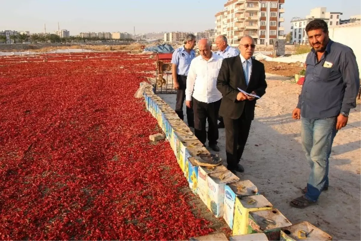 Haliliye Belediyesinden Gıda Güvenliği İçin Uyarı