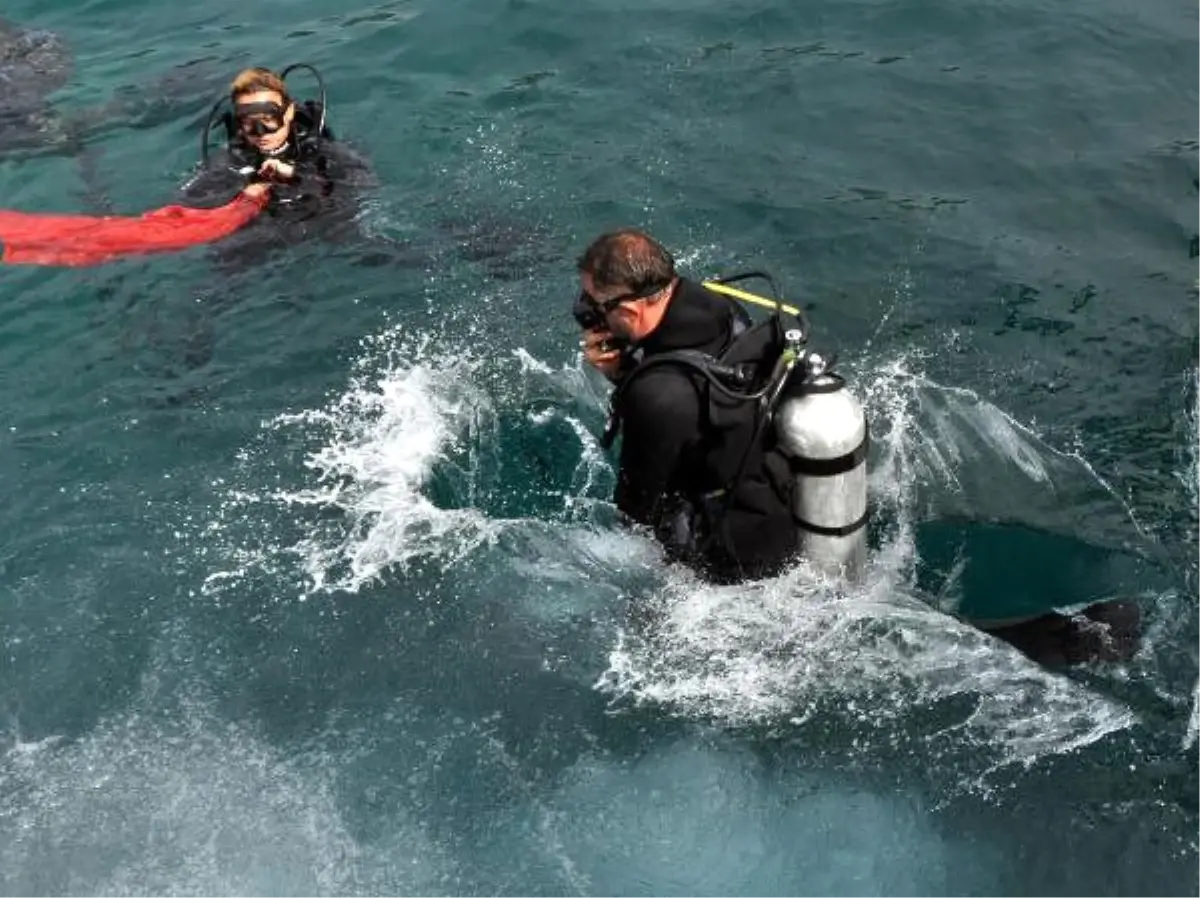 Kisebükü Koyu Tertemiz Oldu