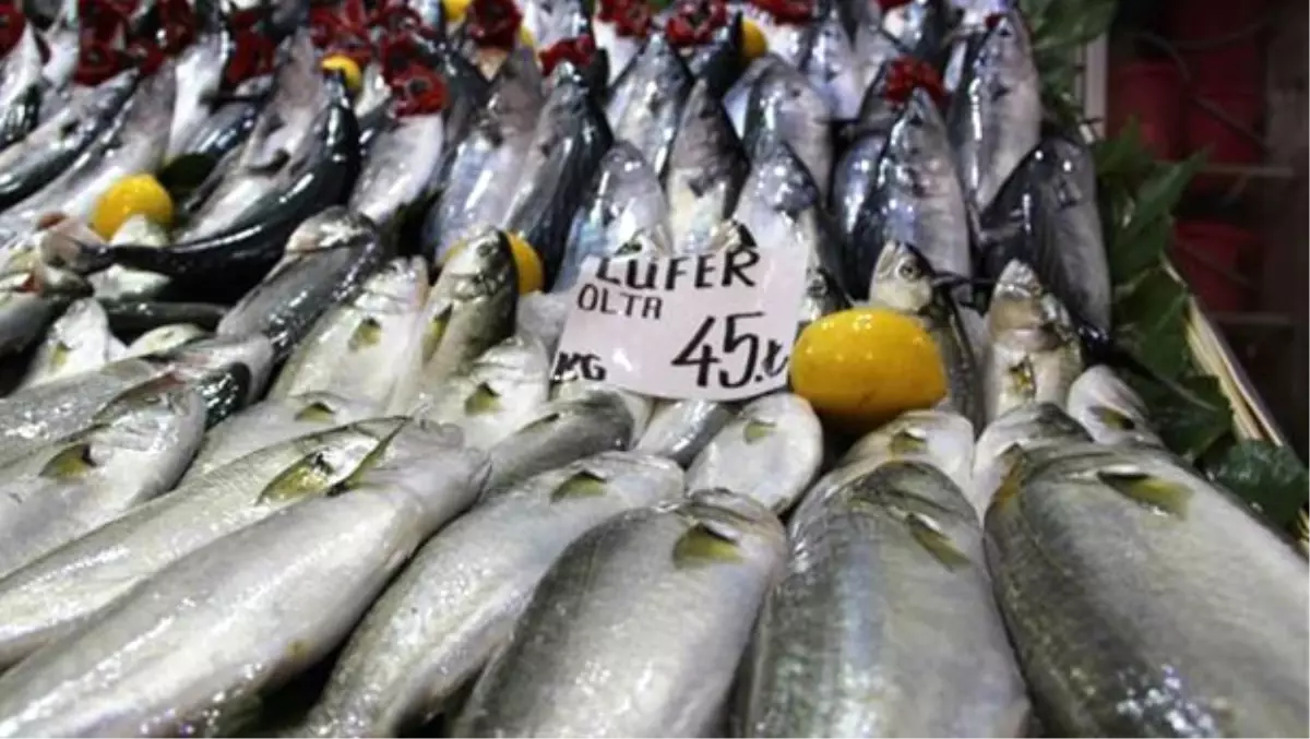 Lüferin Kilosu 50 Liraya Çıktı