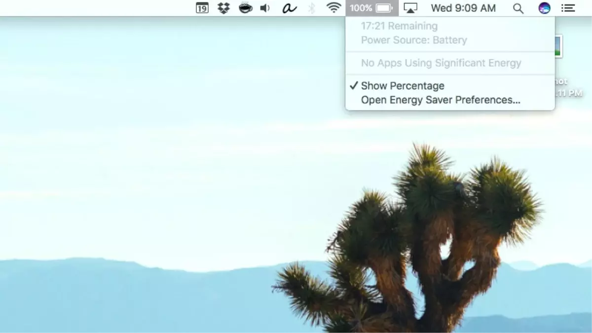 Pil Tahminleri Neden Hiç Tutmuyor?