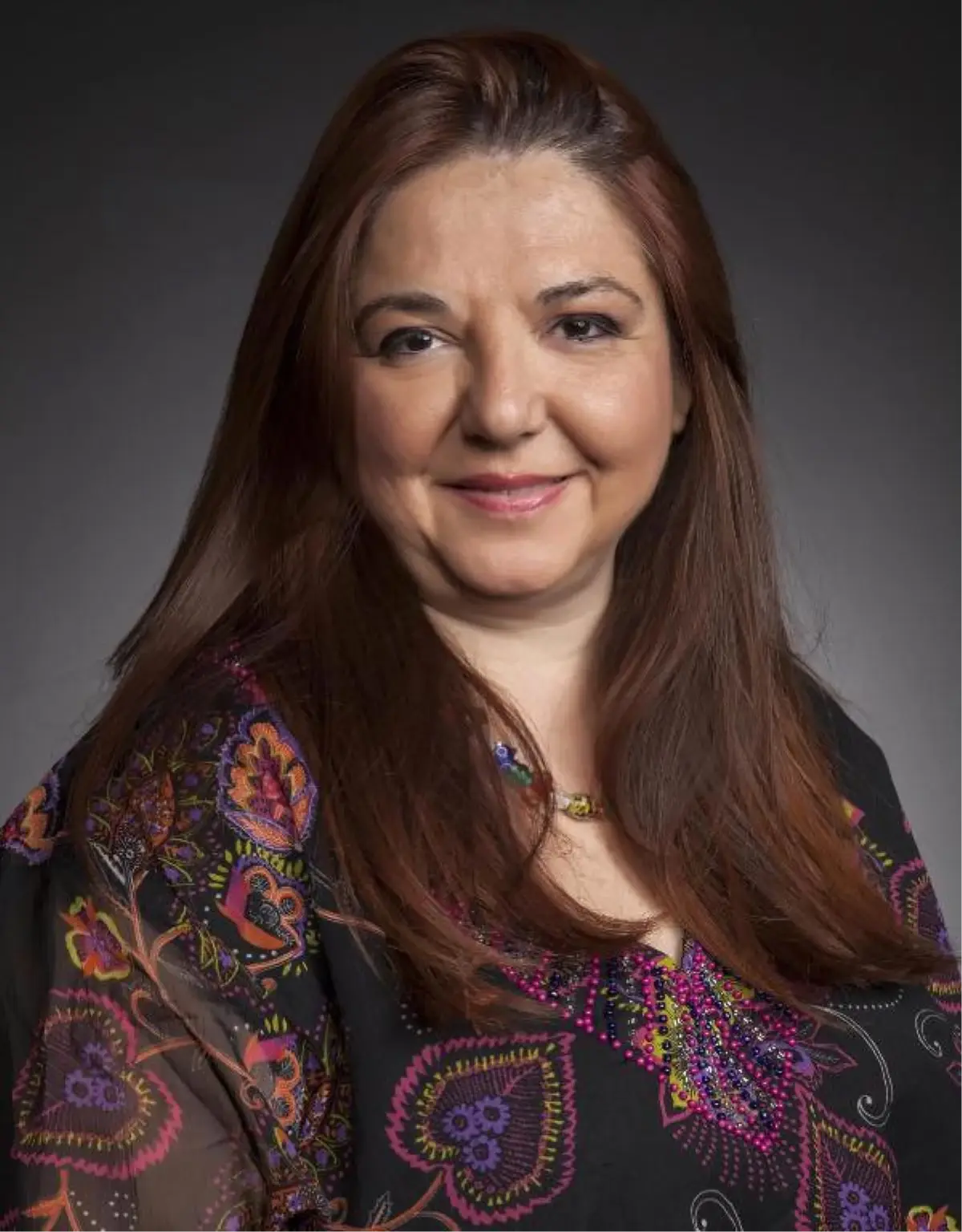 Prof. Akbay: Bireysel Silahlanmada 178 Ülke Arasında 52\'nci Sıradayız