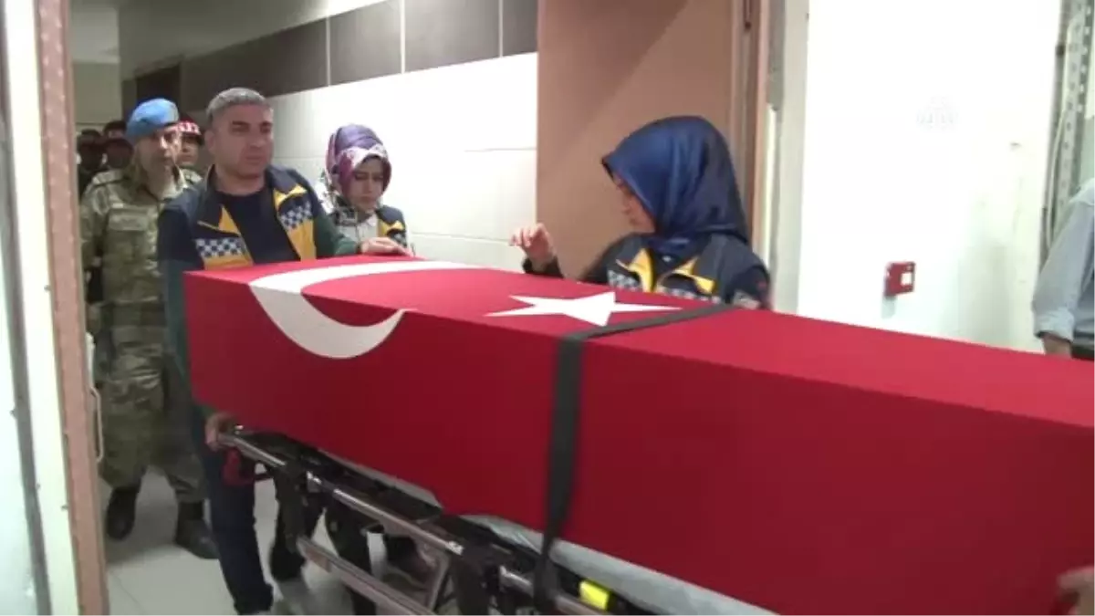 Siirt\'te Terör Operasyonu - Bir Köy Korucusu Şehit Oldu