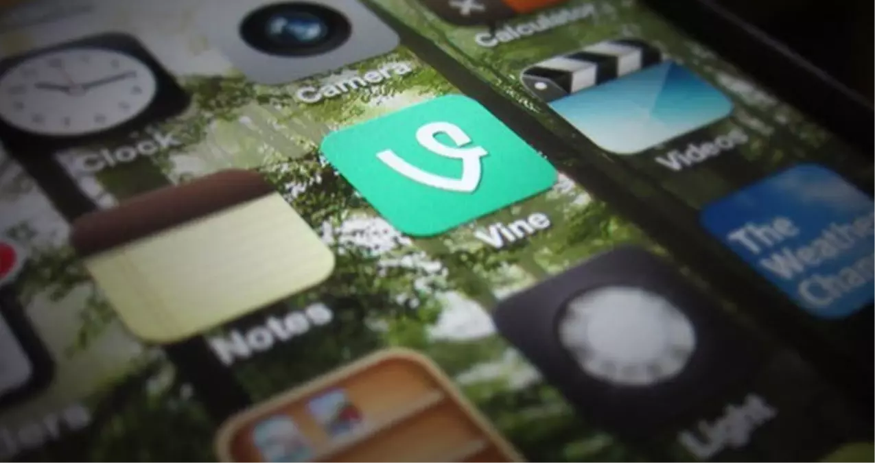 Vine Kapatılıyor