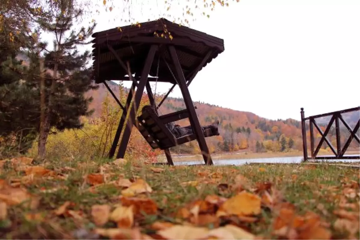 Abant\'ta Renk Cümbüşü