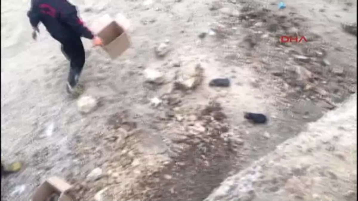 Adıyaman Inşaata Düşen Yavru Köpekleri Itfaiye Kurtardı
