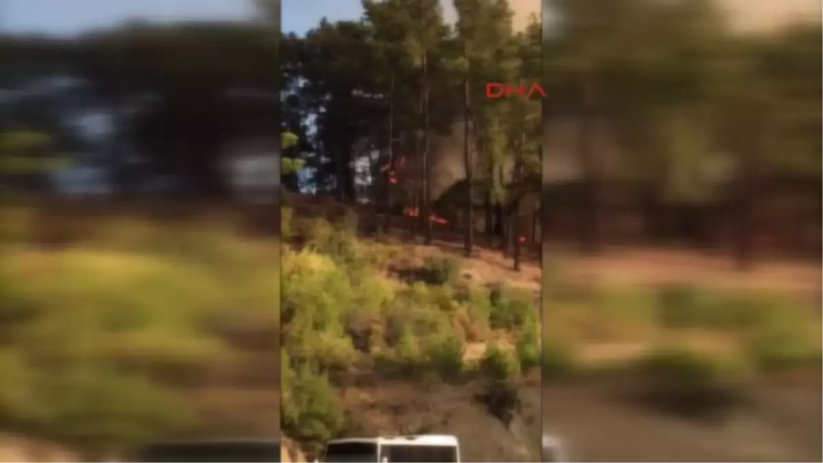 Antalya Finike\'de Orman Yangını