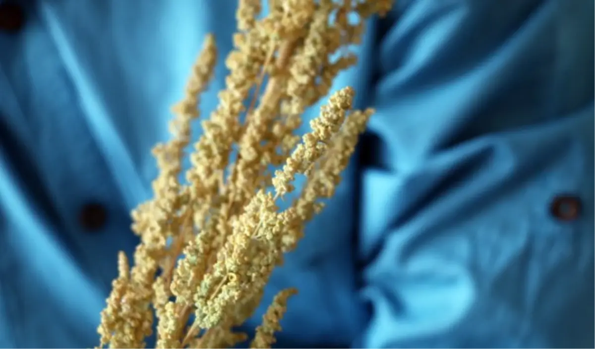 Artık Adıyaman\'da da Yetiştirilecek