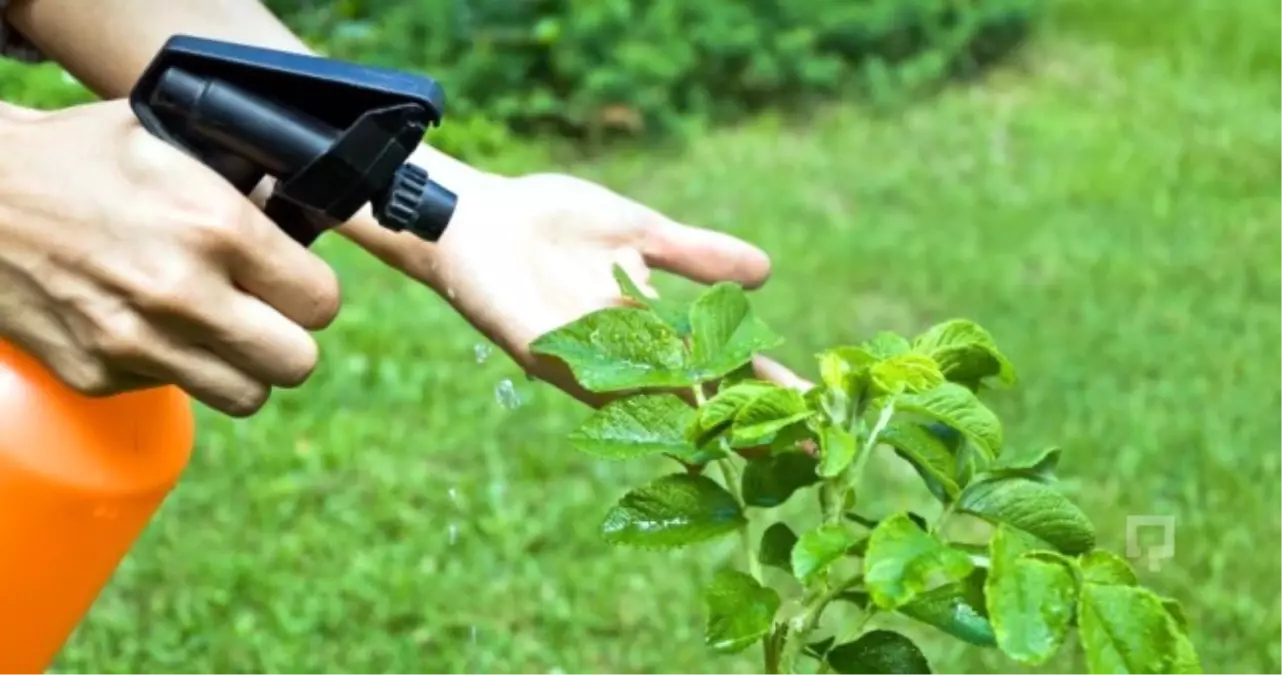 Bitki Koruma Ürünlerinin Ambalajlanmasında Yeni Dönem