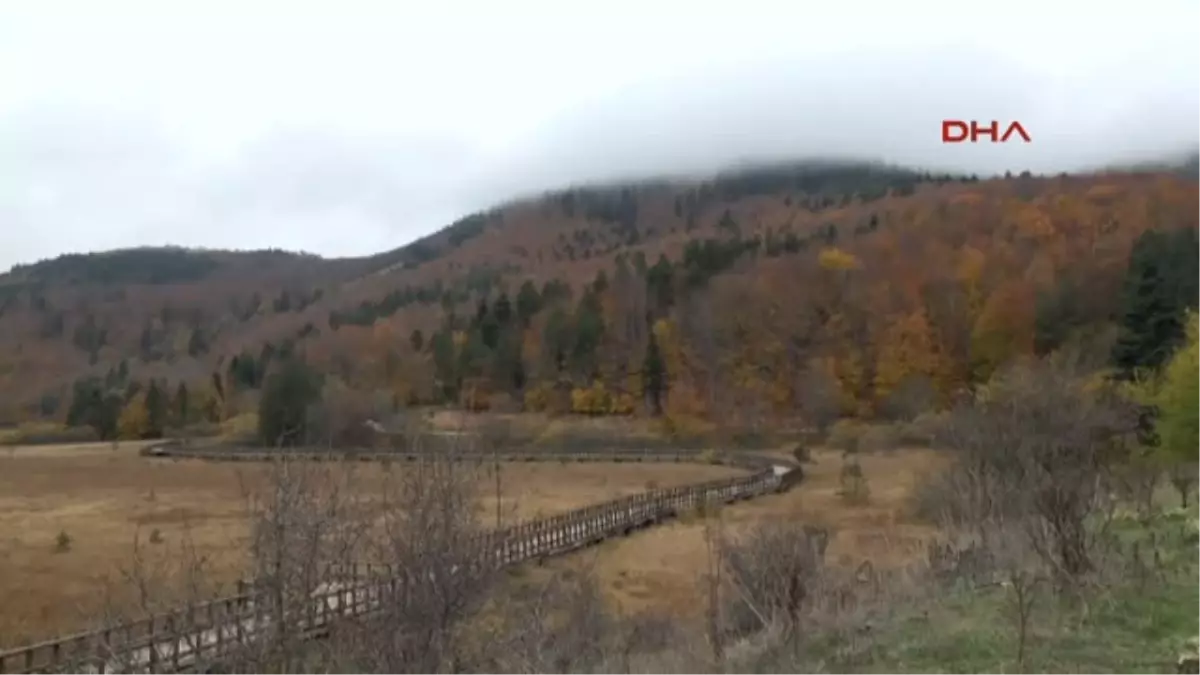 Bolu Abant\'ta Renk Cümbüşü