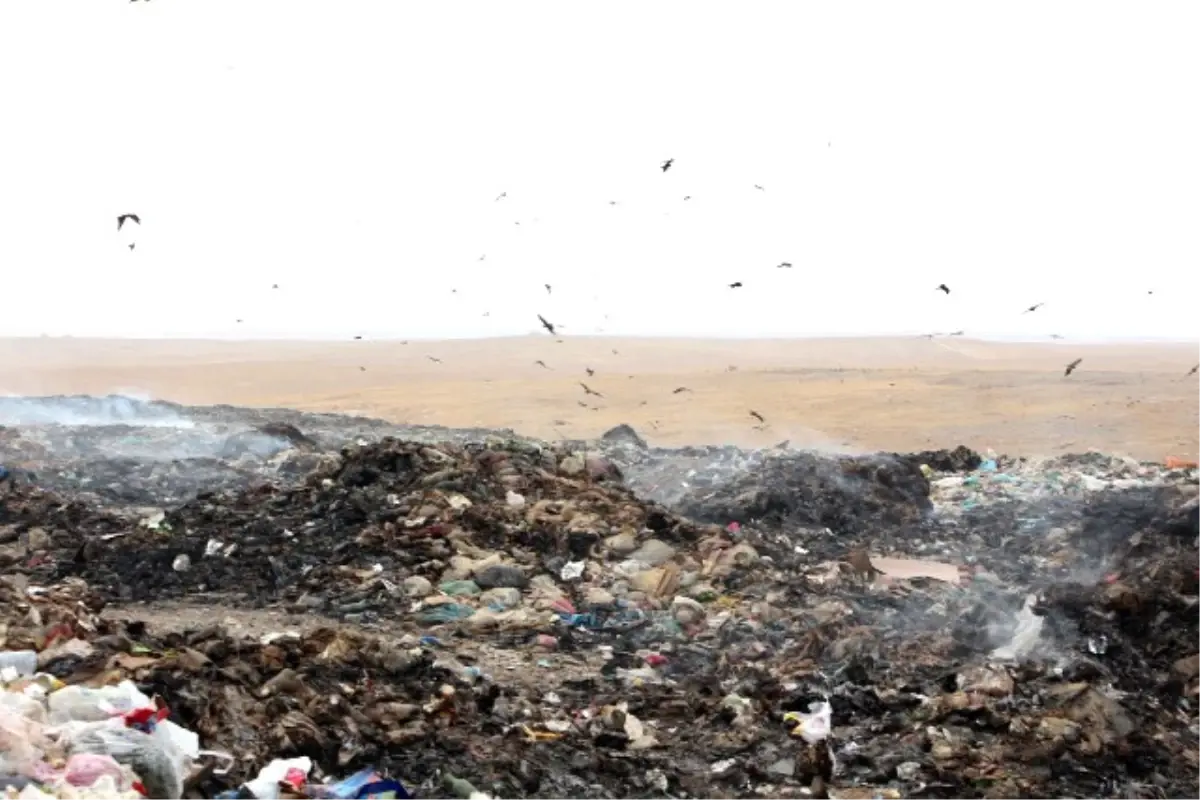 Ceylanpınar Çöp Depolama Alanından Kurtuluyor